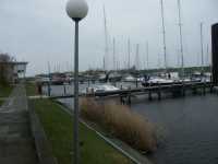 Fr�n en av Lauwersoogs b�thamnar