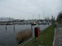 Fr�n en av Lauwersoogs b�thamnar