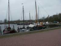 Fr�n en annan av Lauwersoogs b�thamnar