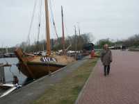 Fr�n en annan av Lauwersoogs b�thamnar