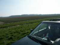 Tulpanodling p� Zuidelijk Flevoland