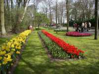 Allehanda blommor i �vcerv�ldigande m�ngder