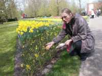 Allehanda blommor i �vcerv�ldigande m�ngder