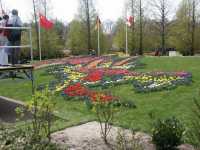 Allehanda blommor i �vcerv�ldigande m�ngder