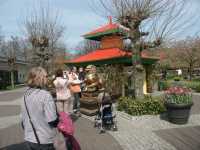 Allehanda blommor i �vcerv�ldigande m�ngder