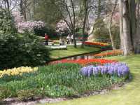 Allehanda blommor i �vcerv�ldigande m�ngder